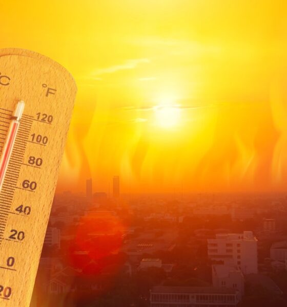 Temperatura elevata