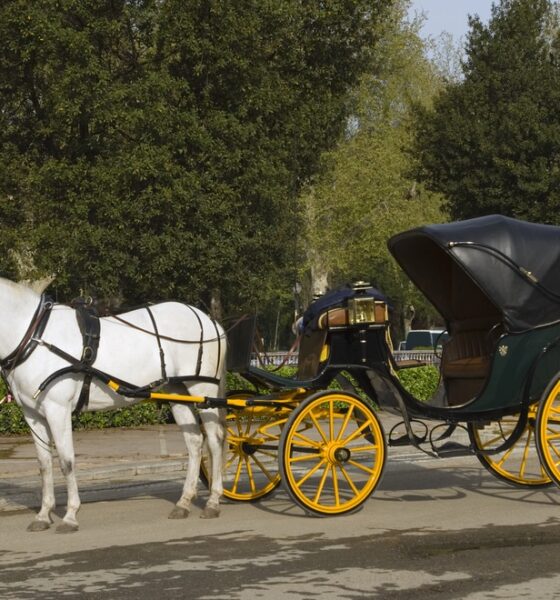 Cavalli che trainano una carrozza