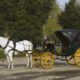Cavalli che trainano una carrozza
