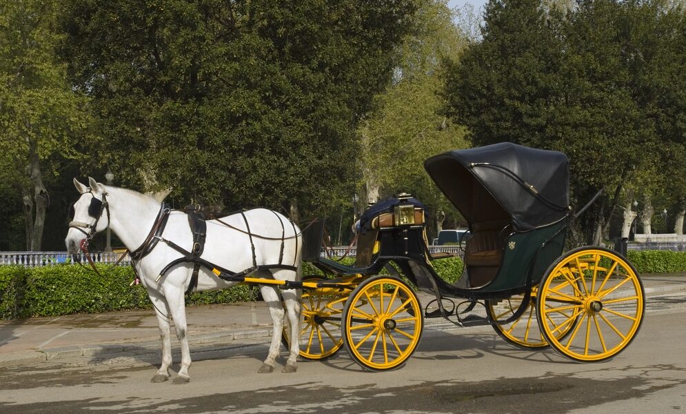 Cavalli che trainano una carrozza