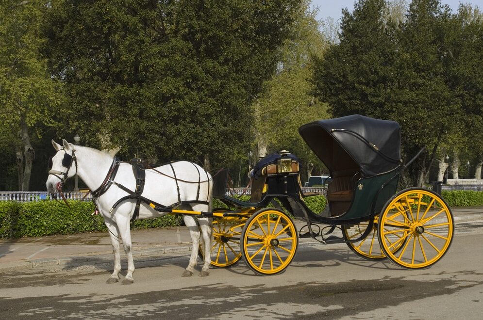 Cavalli che trainano una carrozza