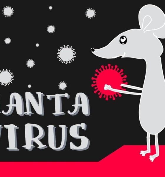 Hantavirus