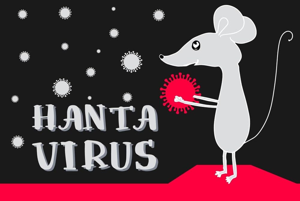 Hantavirus