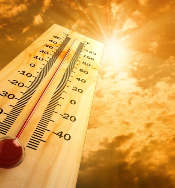 Temperature elevate - Caldo in FVG