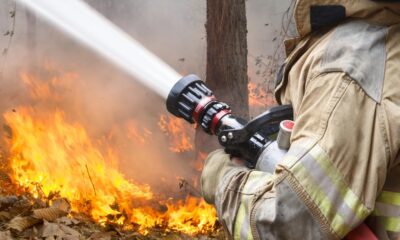 Incendio boschivo