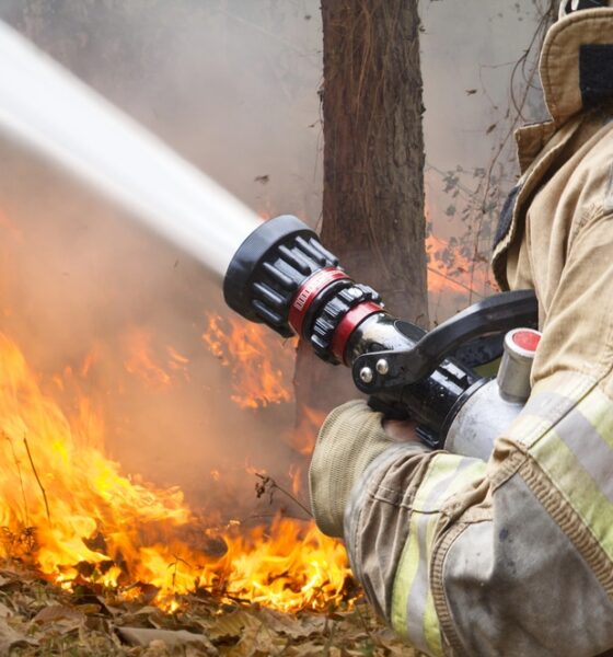 Incendio boschivo
