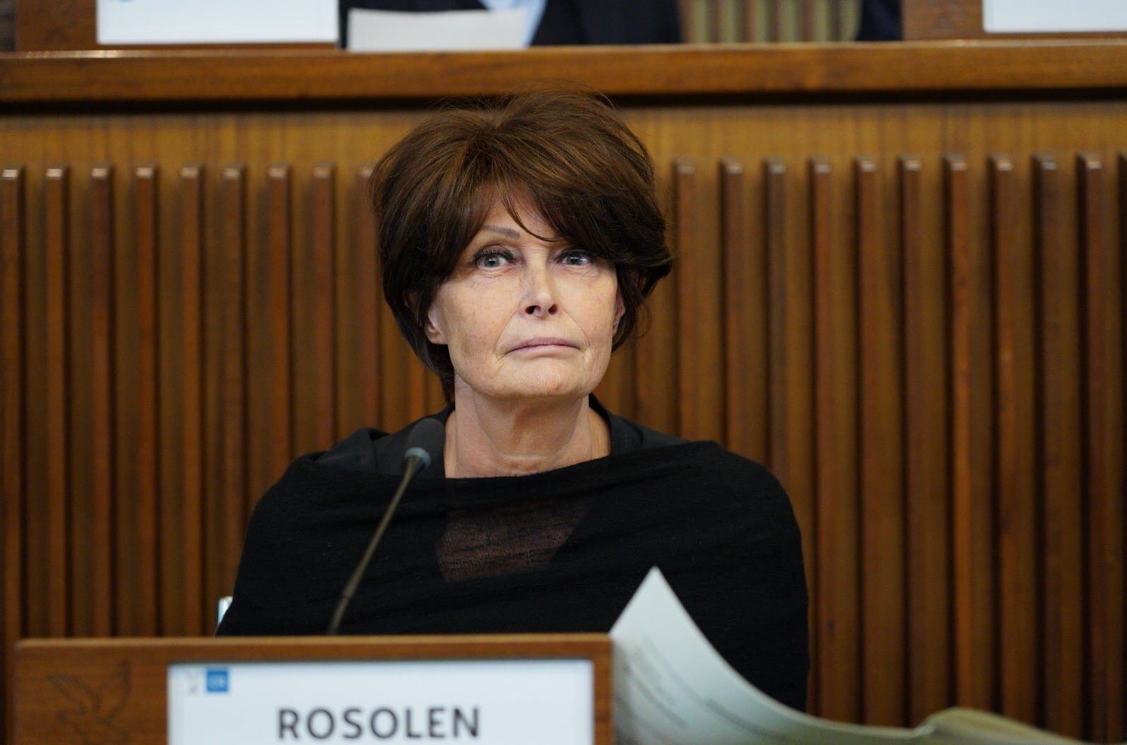 L'assessore regionale Alessia Rosolen