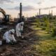 Operazioni di bonifica di un terreno