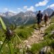 Zecche in montagna
