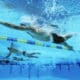Gara di nuoto