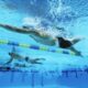 Gara di nuoto