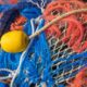 Rete da pesca - Agricoltura e pesca in FVG