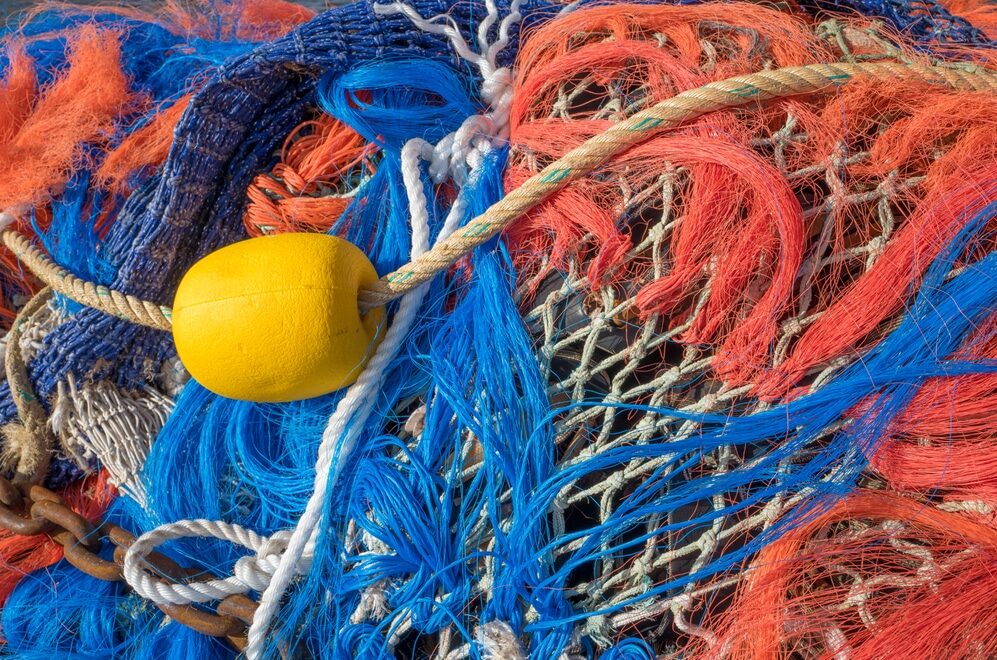 Rete da pesca - Agricoltura e pesca in FVG