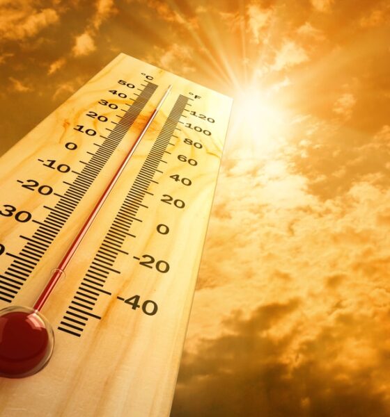 Caldo estremo