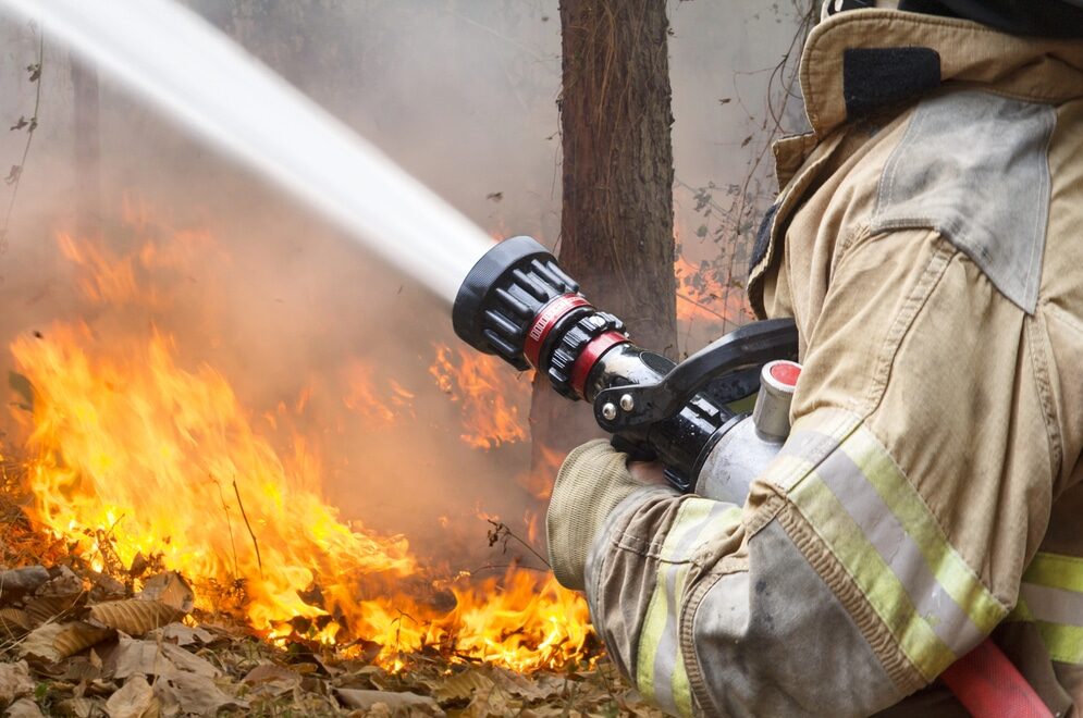 Incendio boschivo