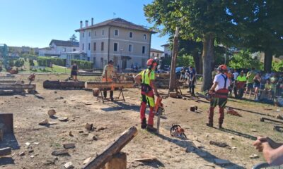 Gara di motoseghe alla Festa del boscaiolo