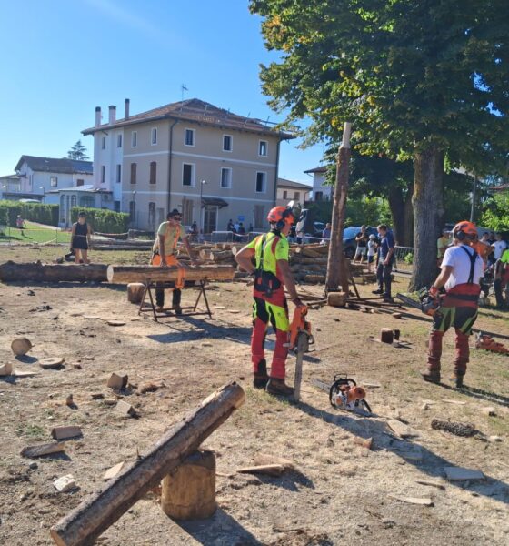 Gara di motoseghe alla Festa del boscaiolo