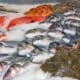 Banco del pesce al supermercato