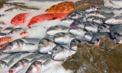 Banco del pesce al supermercato