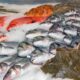 Banco del pesce al supermercato