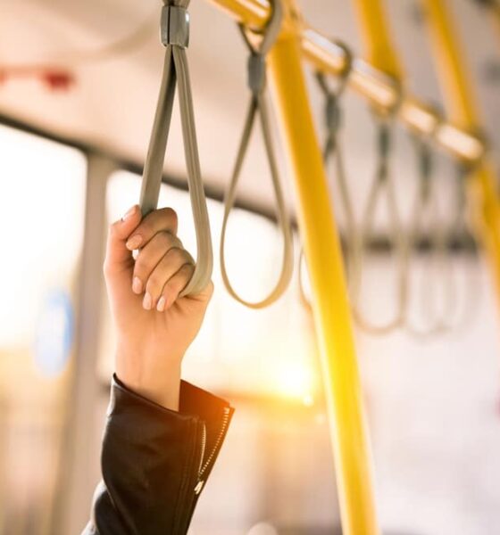 Autobus
