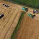 Campo di grano