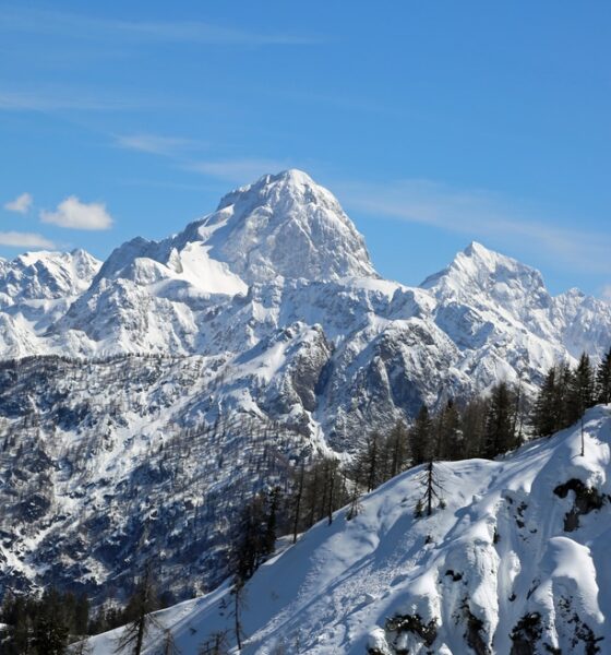 Montagne friulane