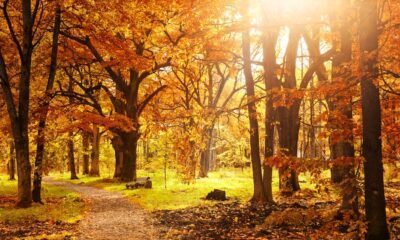 Autunno - Equinozio d’autunno 2026