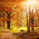 Autunno - Equinozio d’autunno 2026