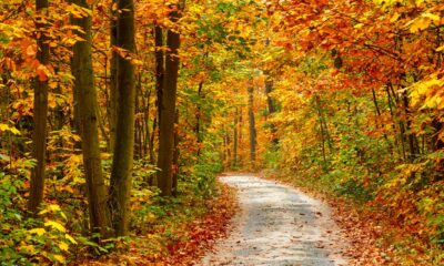 Autunno