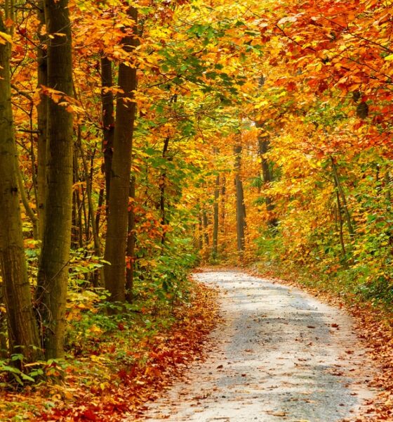 Autunno