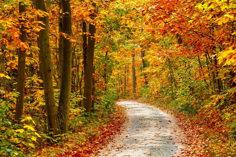 Autunno