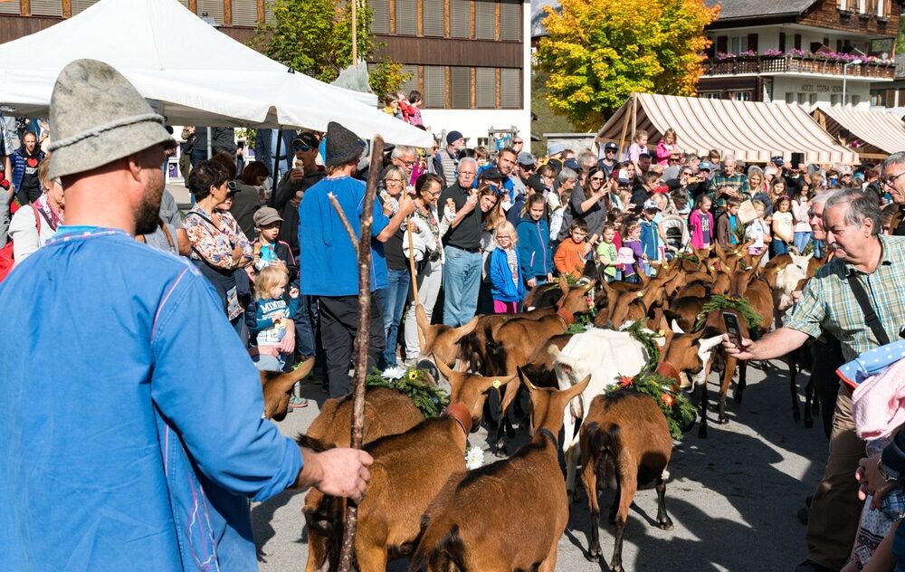 Festa di paese