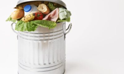 Cibo sprecato