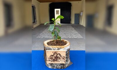 La talea dell'Albero di Falcone, simbolo della lotta alle mafie e dell'impegno civile delle nuove generazioni, consegnata oggi ad Aquileia