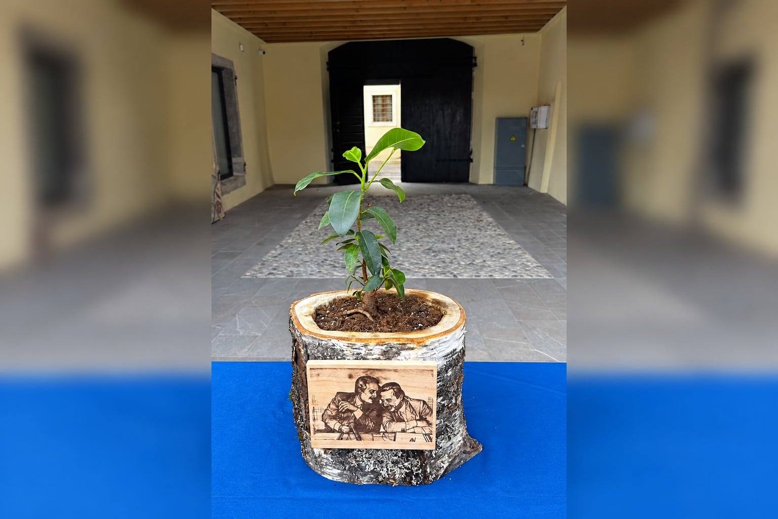La talea dell'Albero di Falcone, simbolo della lotta alle mafie e dell'impegno civile delle nuove generazioni, consegnata oggi ad Aquileia