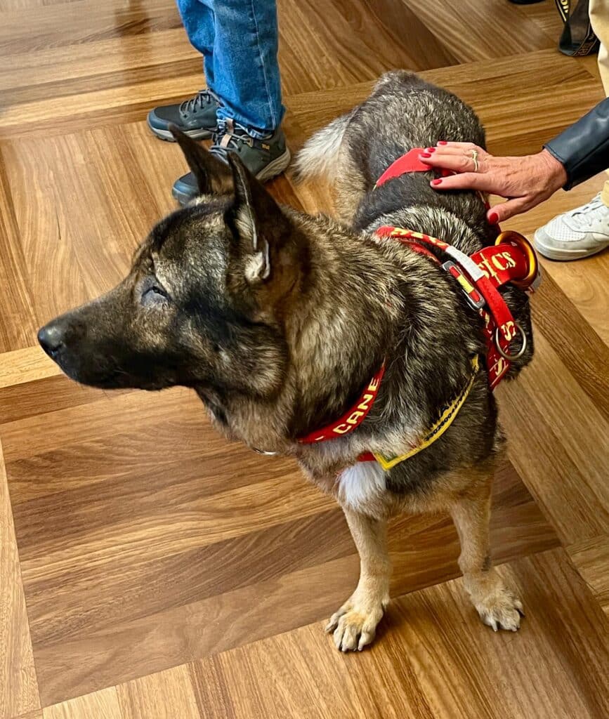 Marley nel Palazzo della Regione a Trieste