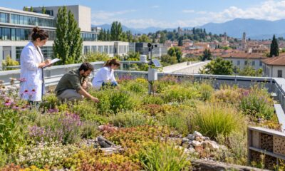 Tetti verdi in città per la biodiversità