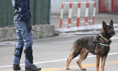Unità cinofila