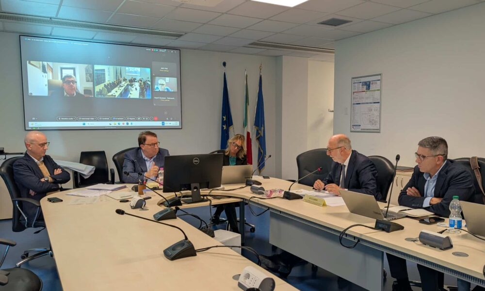 L'assessore regionale alla Salute Riccardo Riccardi durante il suo intervento al Consiglio delle autonomie locali.