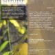 Il nuovo numero di "Terra Rara"