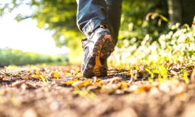 Camminare nella natura